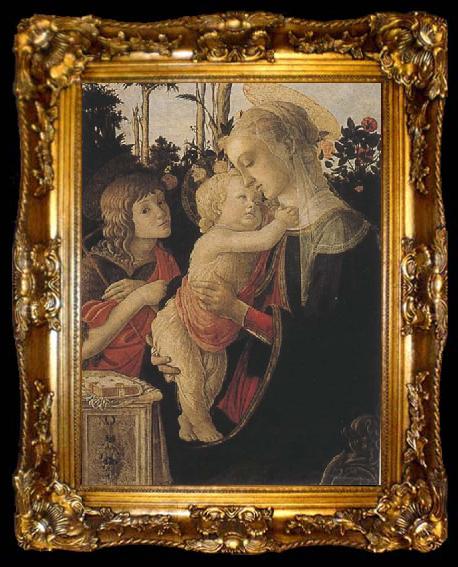framed  Sandro Botticelli Madonna of the Rose Garden or Madonna and Child with St John the Baptist, ta009-2